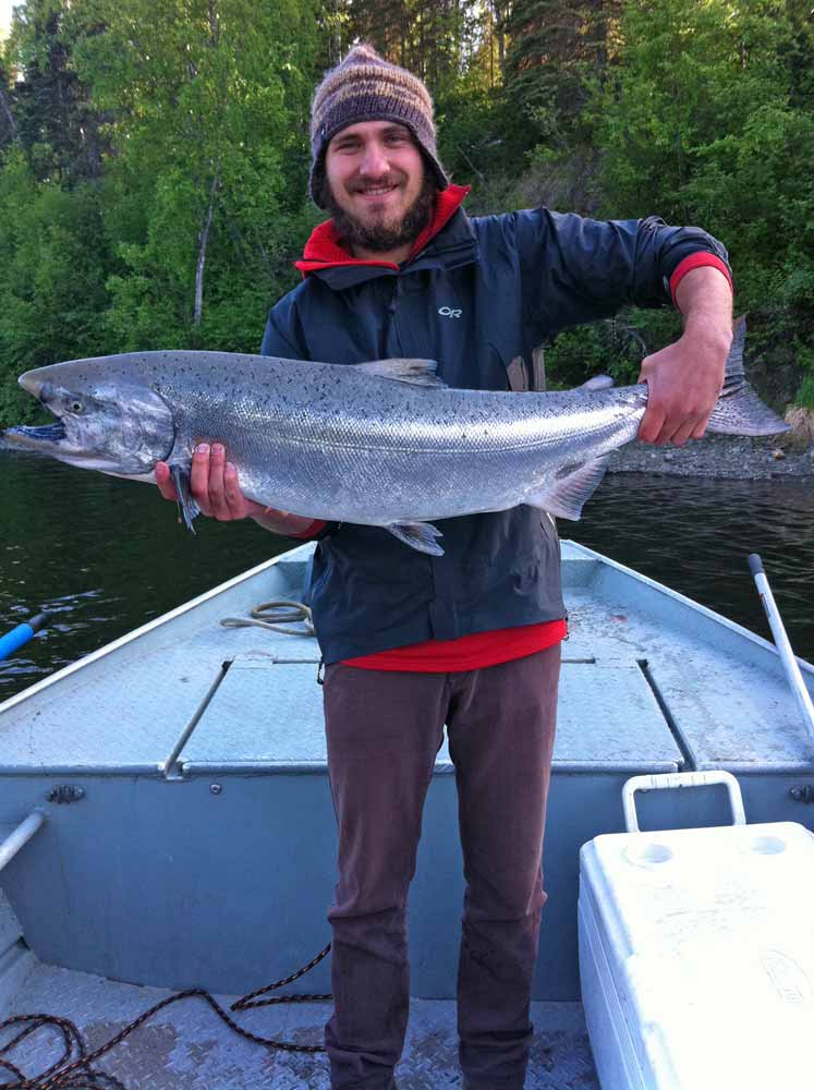  Alaska Salmon Pictures Photos of Alaska Salmon King 